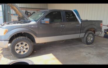 2010 FORD FORD_F150_PICKUP CHASSIS CONT MOD – 1305632